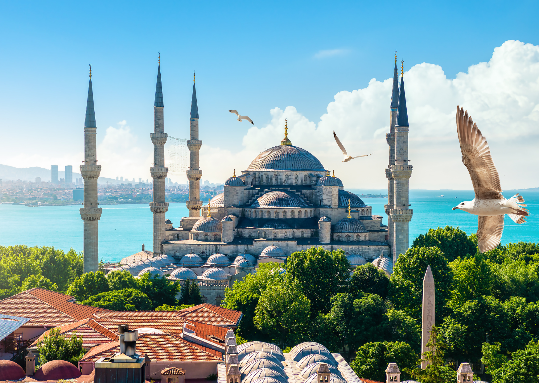 Divorced Nurse Moved To Turkey With $52,000 Honest 5 Year Numbers 2 living in Turkey