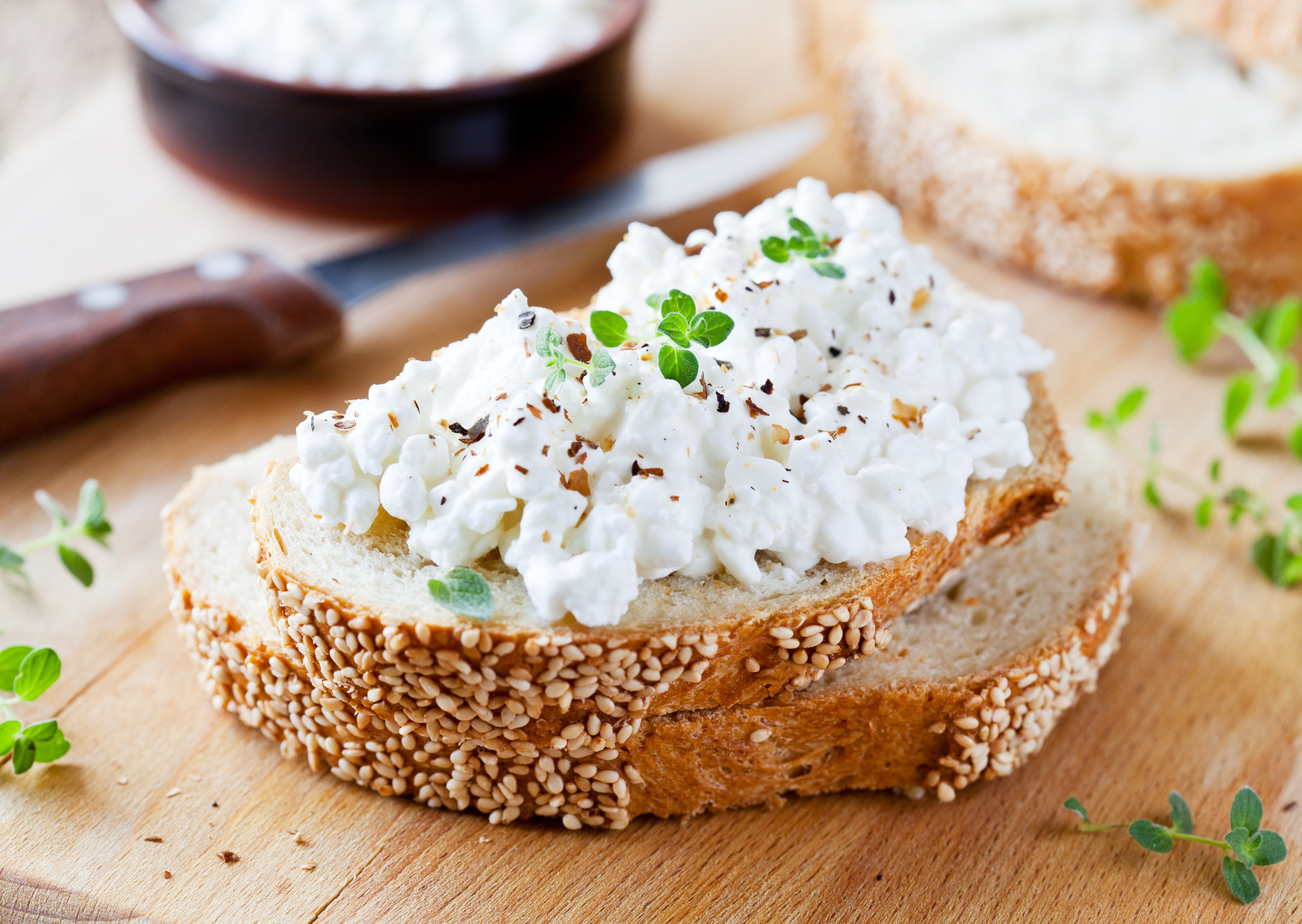 fermented cottage cheese