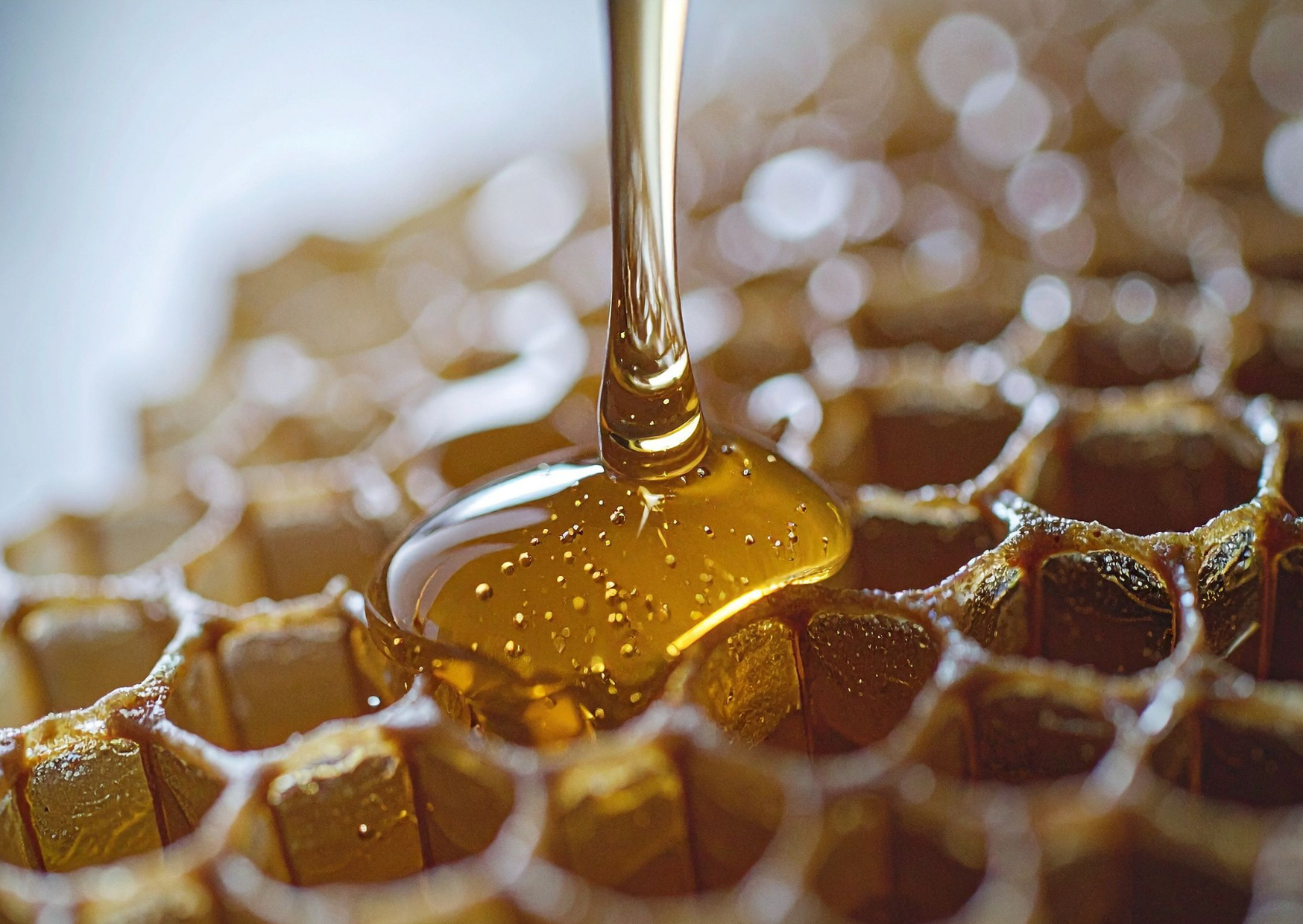 honey 4
