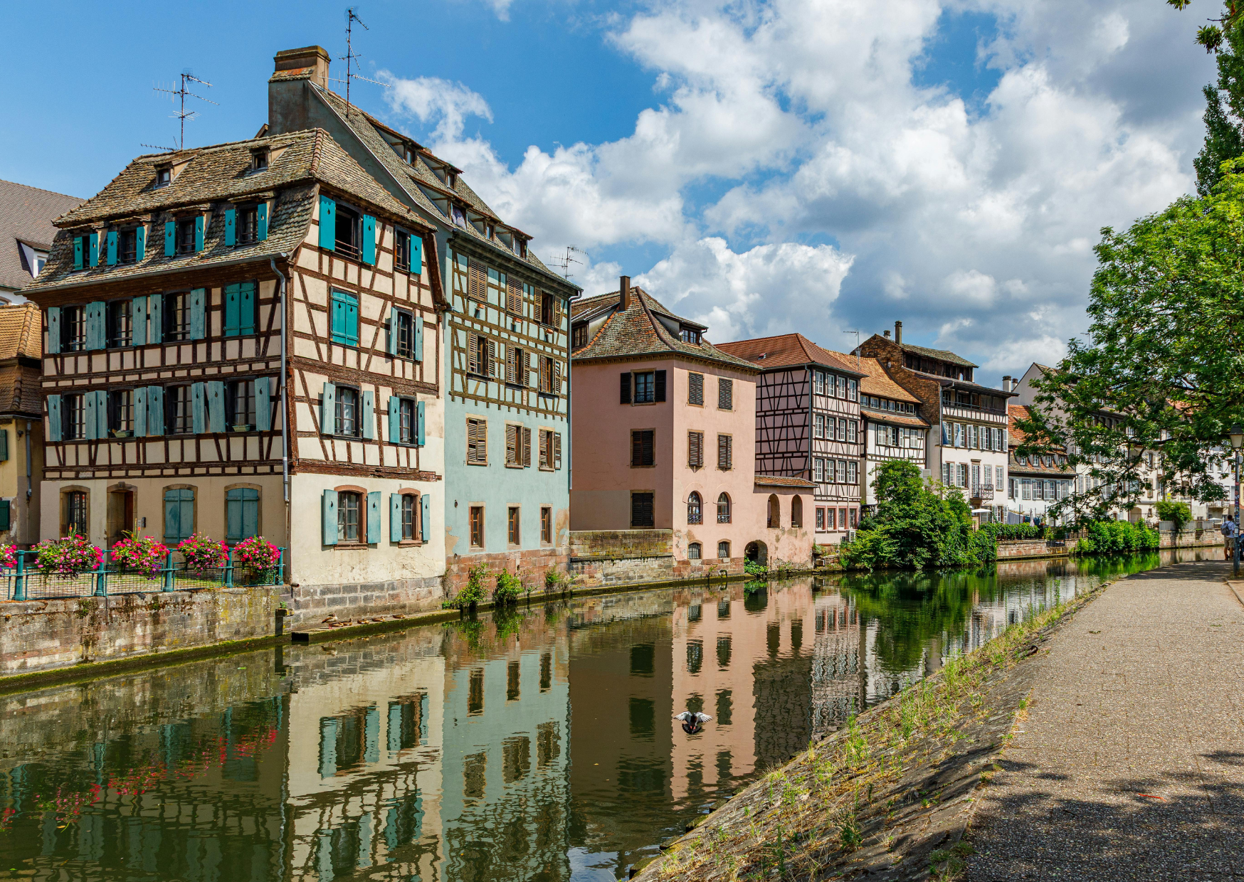 france 5