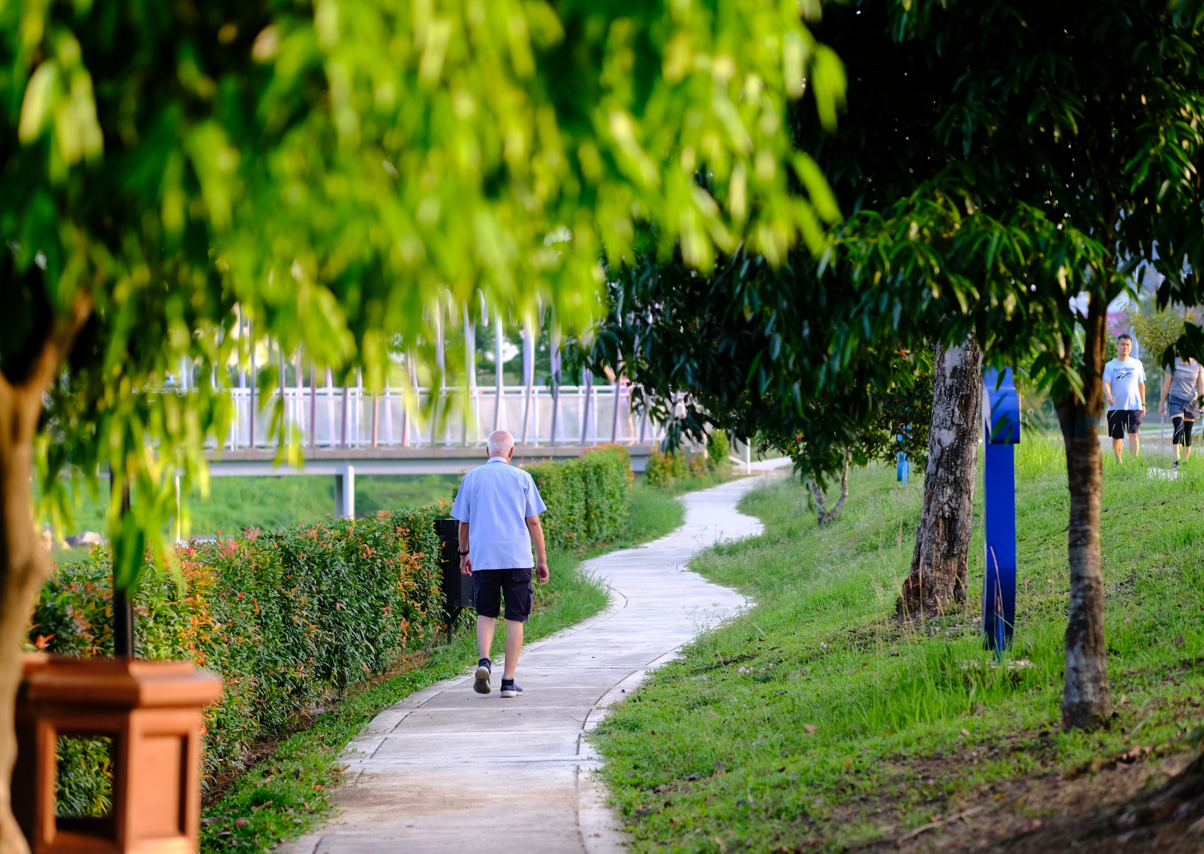8 Daily Routines Italian Men Over 70 Won't Skip That Keep Them Sharp 3 old Italian men 2