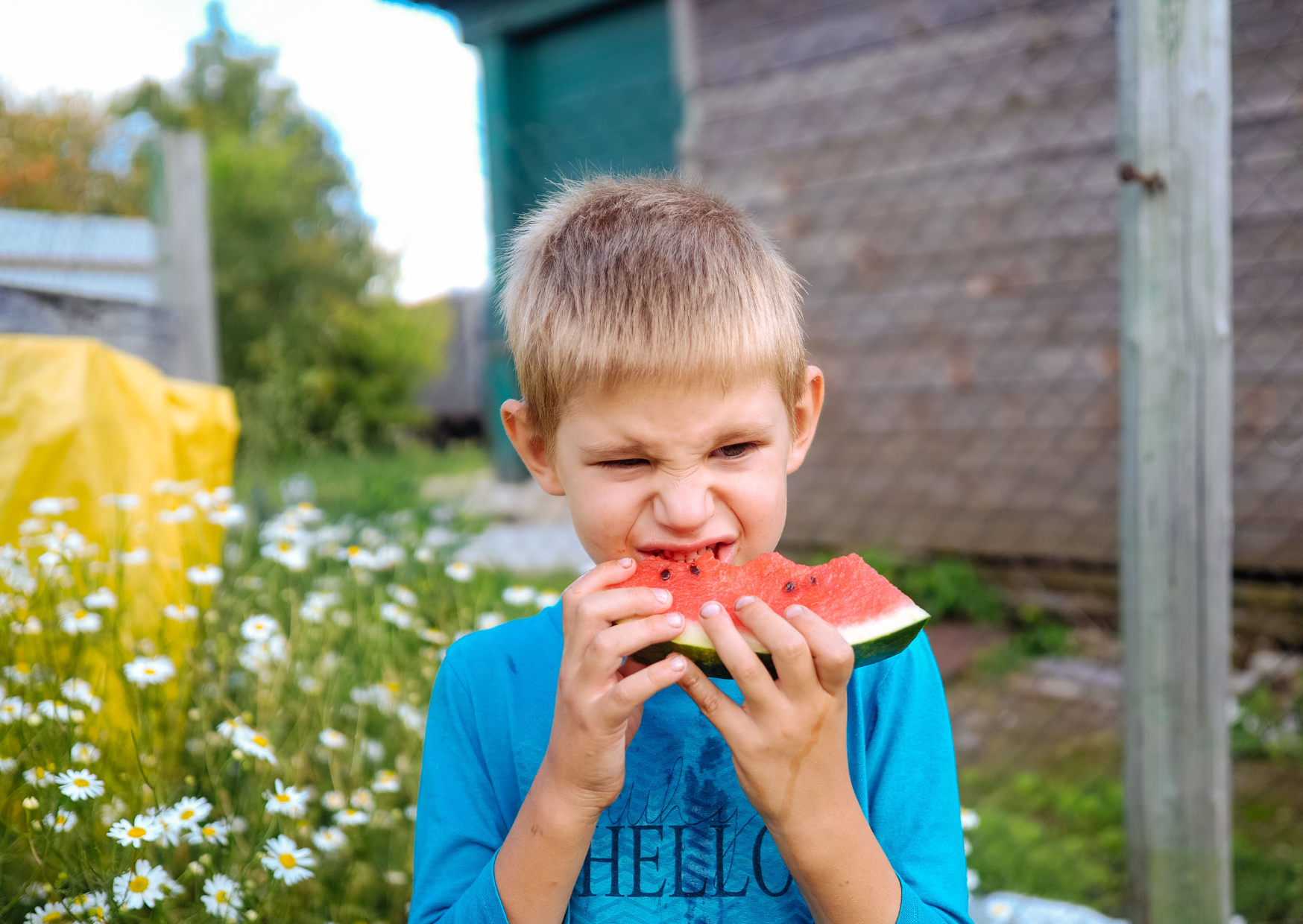 Watermelon with Feta 6