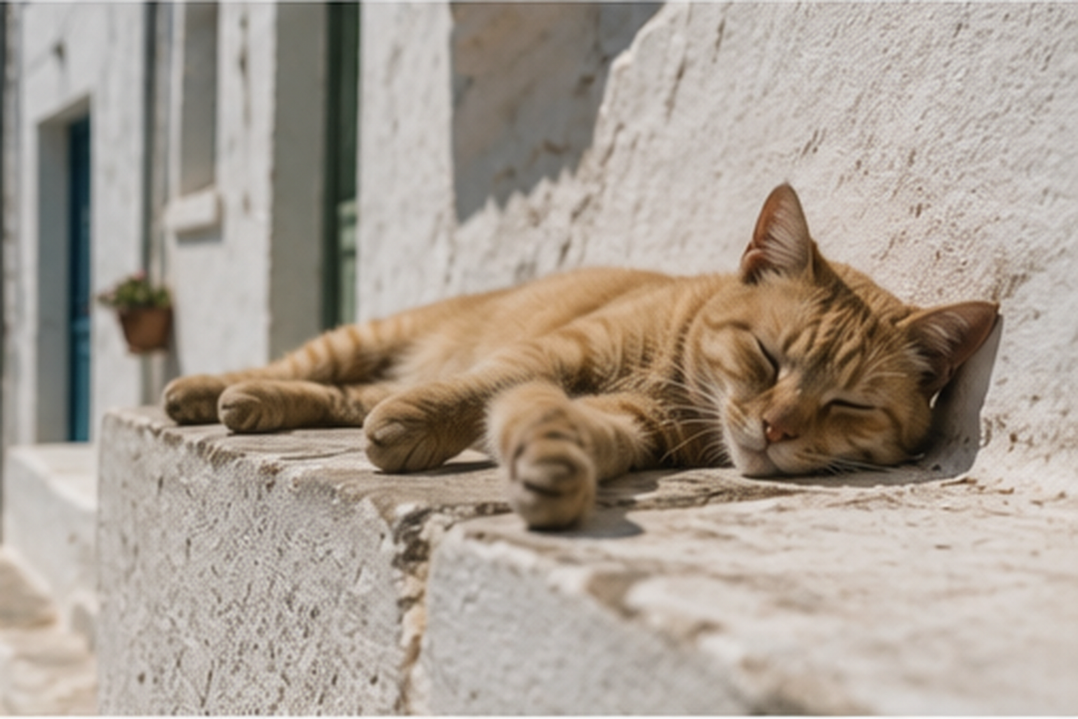 The Cardiology Study That Vindicated the Nap: Why Greek Islanders Sleep at 2pm Without Guilt 5 greek islanders 4