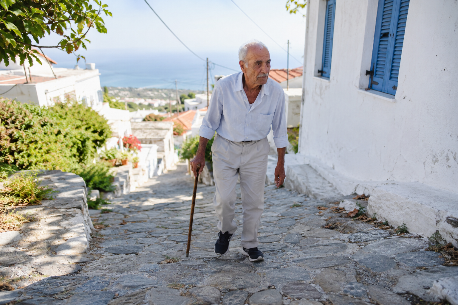 8 Things Greek Island Men Over 80 Do Daily That Cardiologists Keep Studying 3 greek men 1